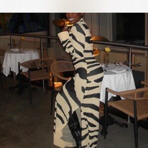 Hanifa Zebra Print Long Sleeve Dress
